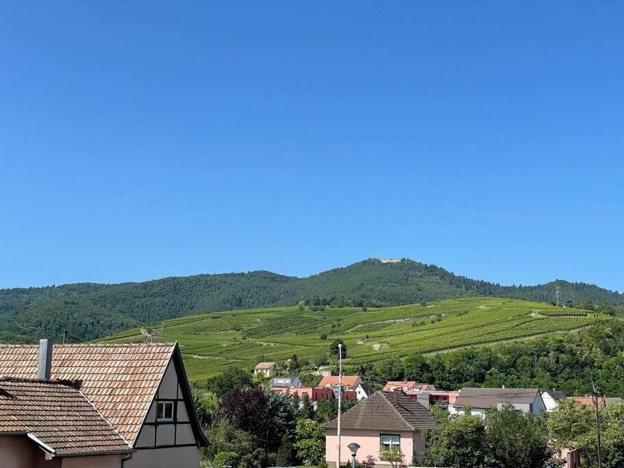 Apartamento A2 Pas De Colmar Terrasse,Parking Wintzenheim Exterior foto