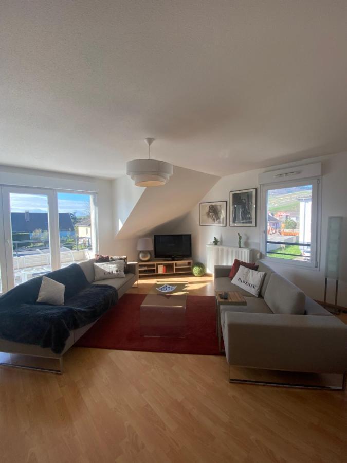 Apartamento A2 Pas De Colmar Terrasse,Parking Wintzenheim Exterior foto