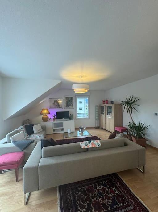Apartamento A2 Pas De Colmar Terrasse,Parking Wintzenheim Exterior foto
